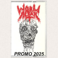 Worm Altar – Promo 2025 MC
